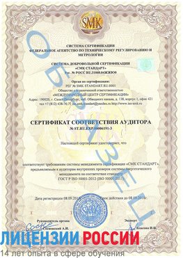 Образец сертификата соответствия аудитора №ST.RU.EXP.00006191-3 Амурск Сертификат ISO 50001
